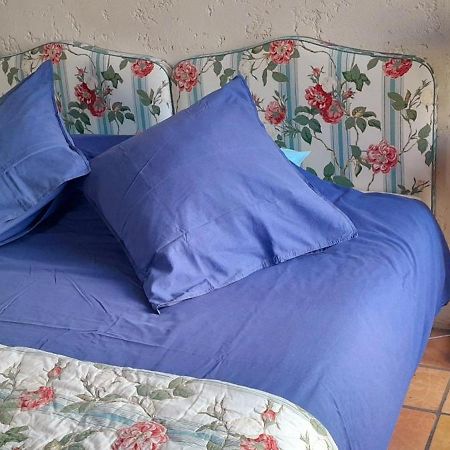 Logis De Chenac - Chambres Et Table D'Hotes Chenac Saint Seurin d'Uzet エクステリア 写真