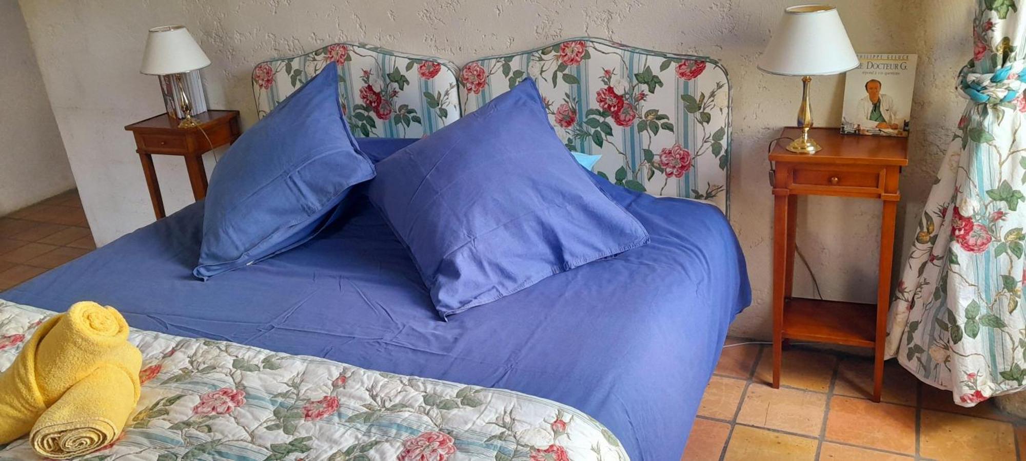 Logis De Chenac - Chambres Et Table D'Hotes Chenac Saint Seurin d'Uzet エクステリア 写真